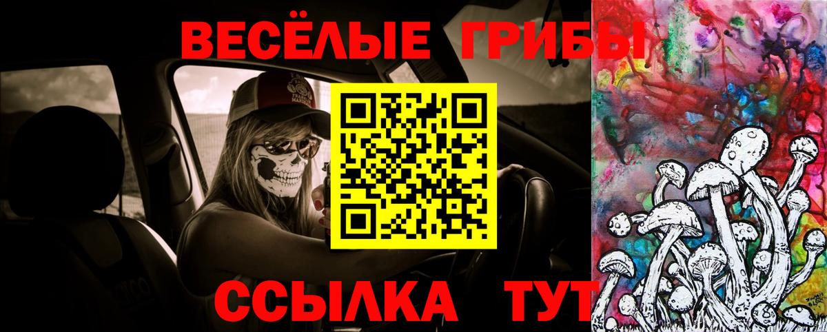 МЕФ кристаллы  Cocaine  Гашиш  Экстази  Купить наркотики цена  Вход с VPN  Петропавловск-Камчатский  Каннабис 