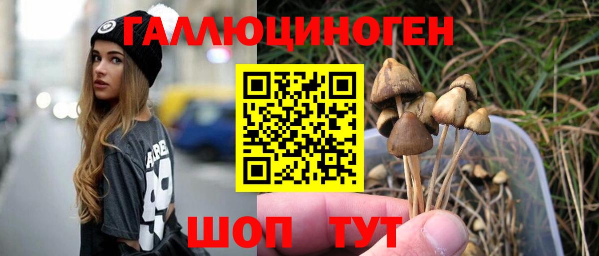 Петропавловск-Камчатский  Галлюциногенные грибы мухоморы  Псилоцибиновые грибы Cubensis  Вход с VPN 